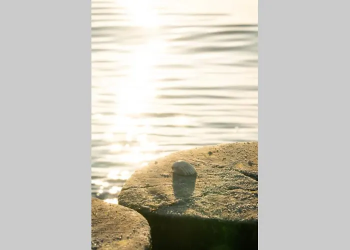 Meersinn - Familienzeit In Graal-müritz * Gelbensande